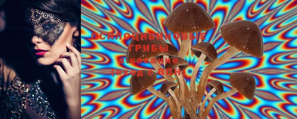 PSILOCYBIN Бронницы